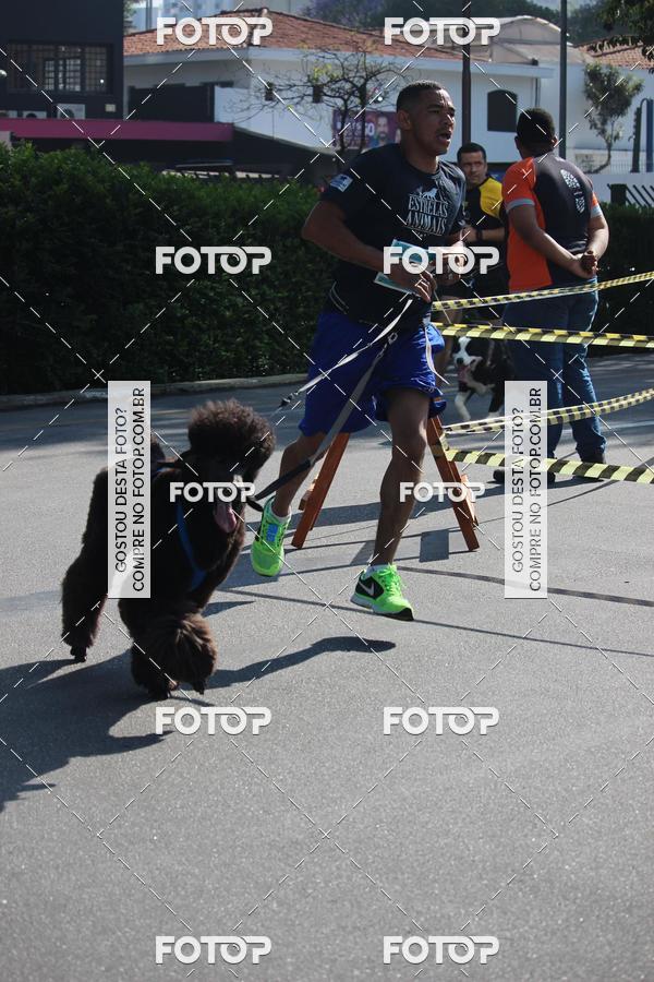 Buy your photos of the event2 Pet Run Shopping Eldorado  on Fotop