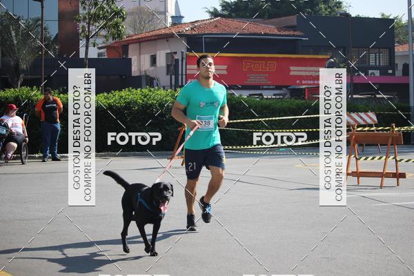 Buy your photos of the event2 Pet Run Shopping Eldorado  on Fotop