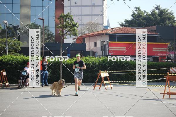 Buy your photos of the event2 Pet Run Shopping Eldorado  on Fotop
