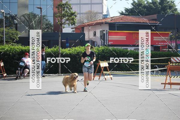 Buy your photos of the event2 Pet Run Shopping Eldorado  on Fotop