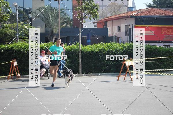Buy your photos of the event2 Pet Run Shopping Eldorado  on Fotop