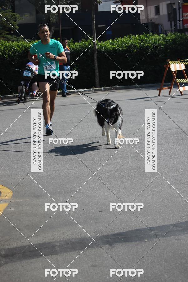 Buy your photos of the event2 Pet Run Shopping Eldorado  on Fotop