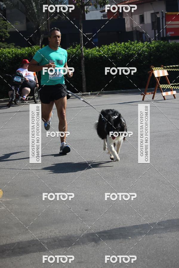 Buy your photos of the event2 Pet Run Shopping Eldorado  on Fotop