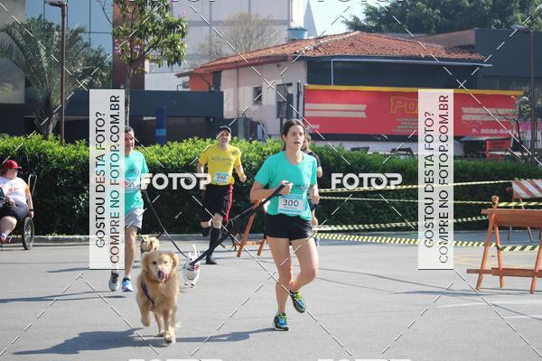 Buy your photos of the event2 Pet Run Shopping Eldorado  on Fotop