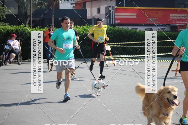 Buy your photos of the event2 Pet Run Shopping Eldorado  on Fotop