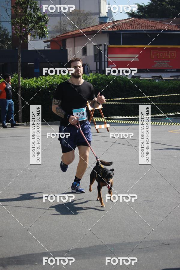 Buy your photos of the event2 Pet Run Shopping Eldorado  on Fotop