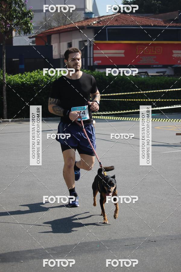 Buy your photos of the event2 Pet Run Shopping Eldorado  on Fotop