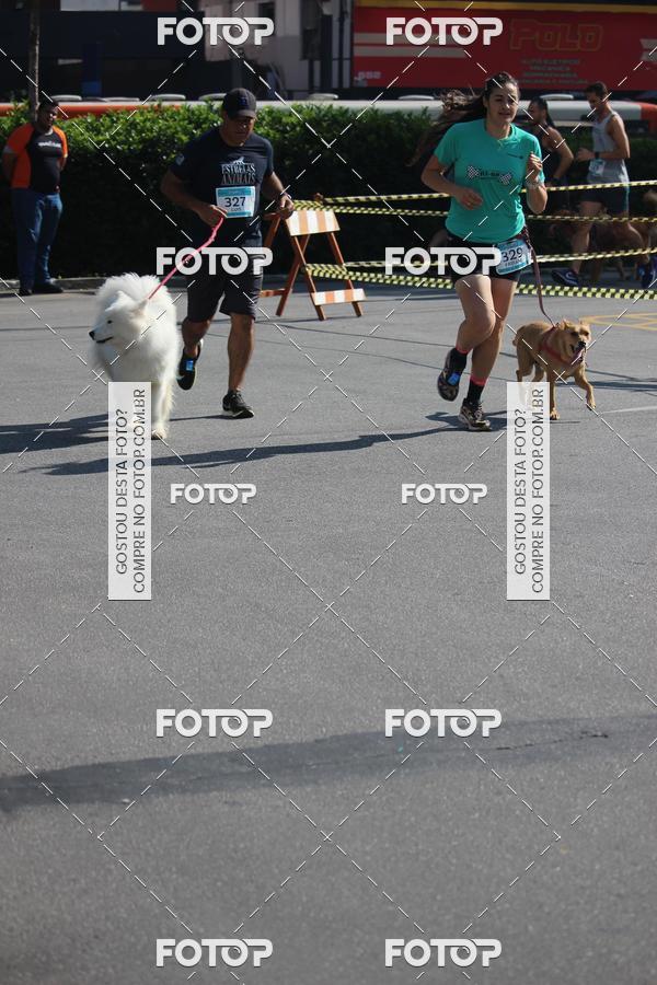 Buy your photos of the event2 Pet Run Shopping Eldorado  on Fotop