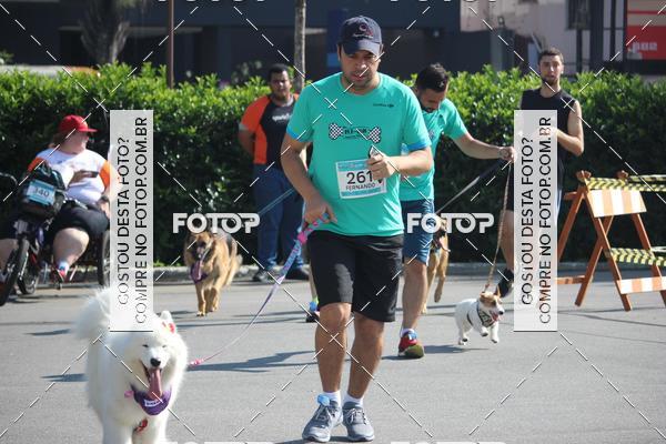 Buy your photos of the event2 Pet Run Shopping Eldorado  on Fotop