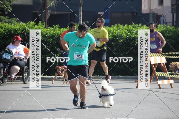 Buy your photos of the event2 Pet Run Shopping Eldorado  on Fotop