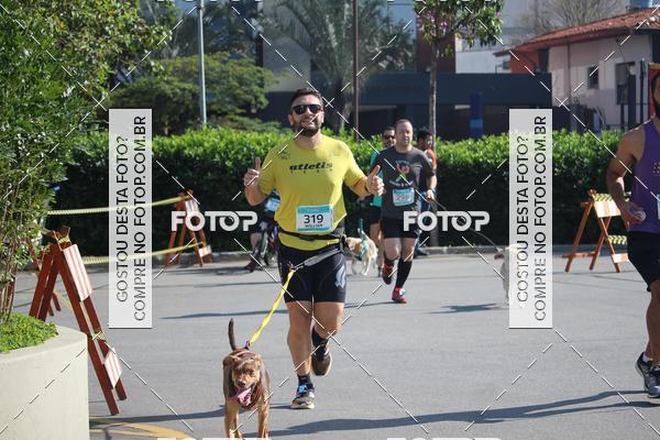 Buy your photos of the event2 Pet Run Shopping Eldorado  on Fotop