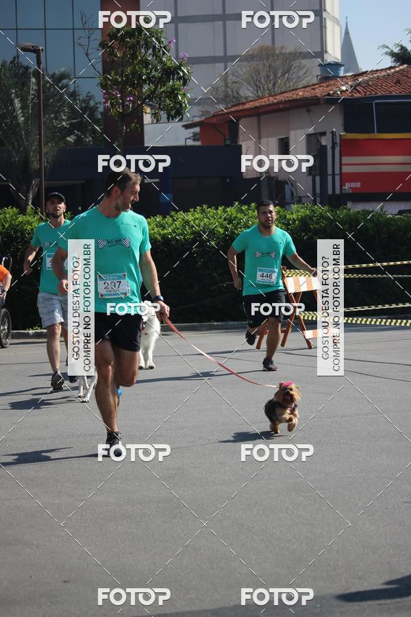Buy your photos of the event2 Pet Run Shopping Eldorado  on Fotop