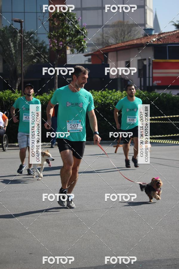 Buy your photos of the event2 Pet Run Shopping Eldorado  on Fotop