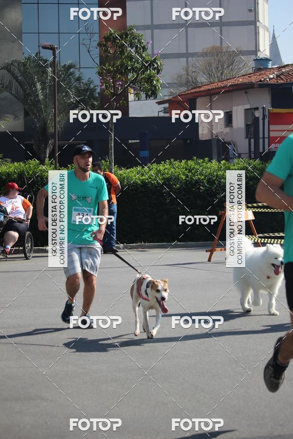 Buy your photos of the event2 Pet Run Shopping Eldorado  on Fotop