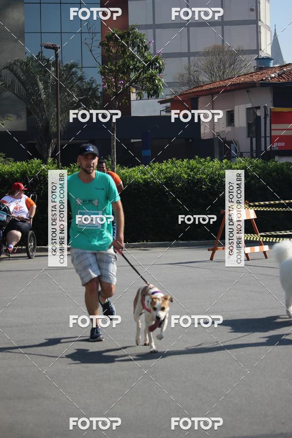 Buy your photos of the event2 Pet Run Shopping Eldorado  on Fotop