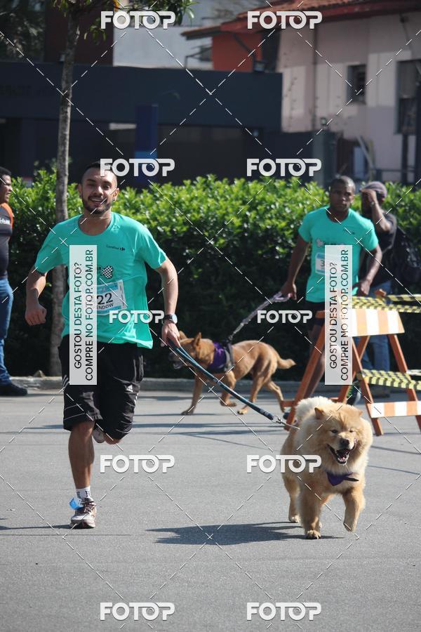 Buy your photos of the event2 Pet Run Shopping Eldorado  on Fotop