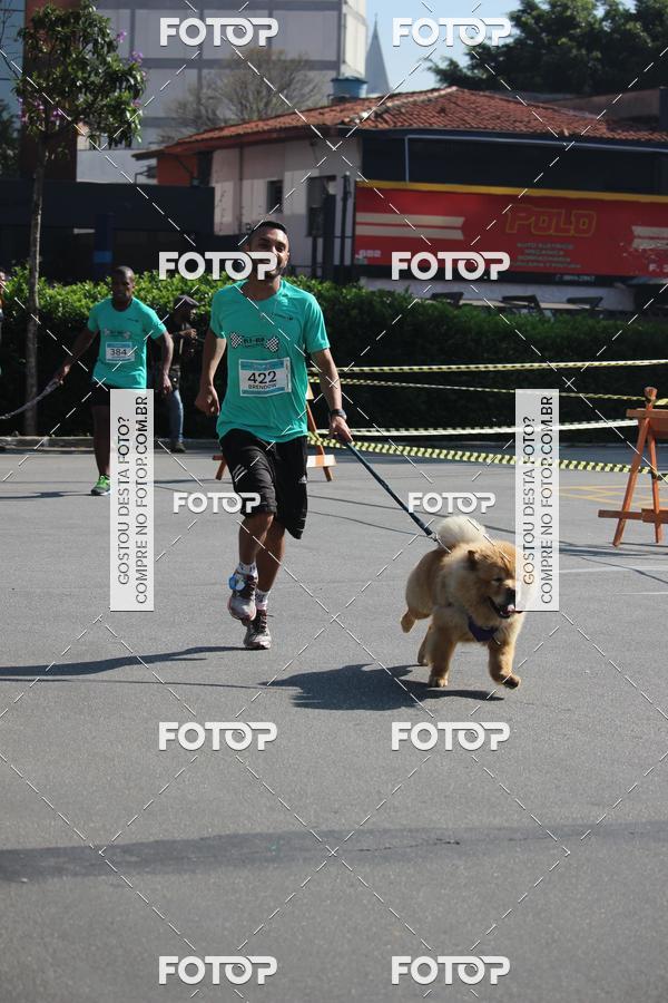 Buy your photos of the event2 Pet Run Shopping Eldorado  on Fotop