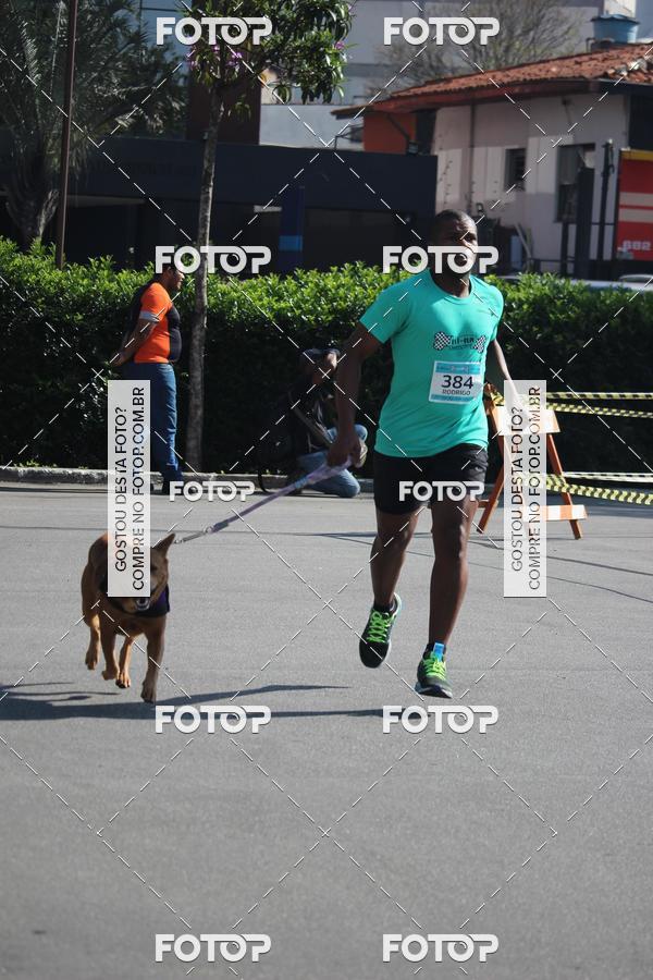 Buy your photos of the event2 Pet Run Shopping Eldorado  on Fotop