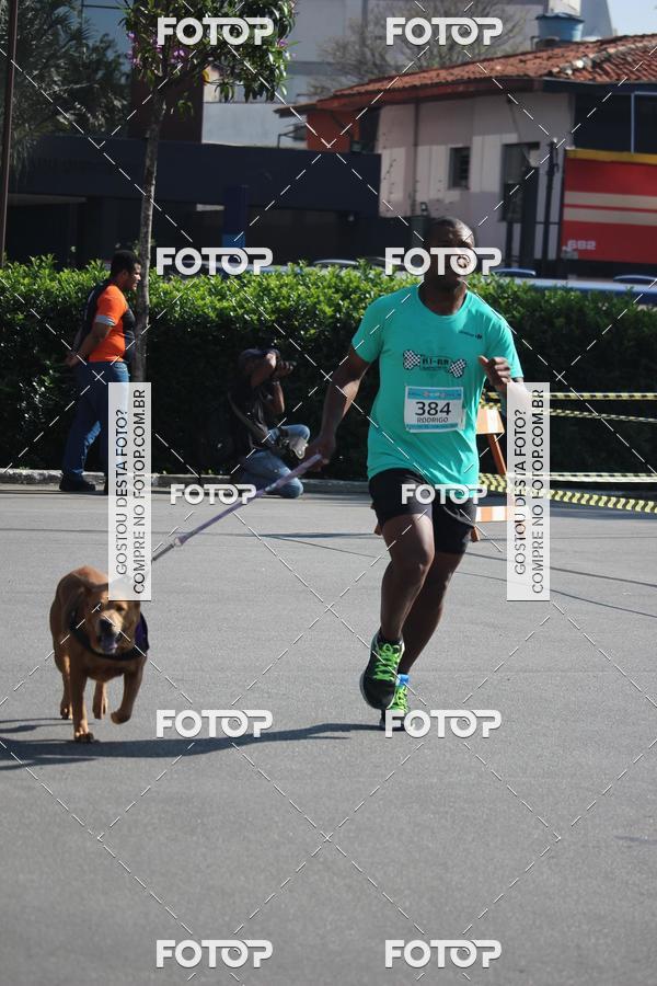 Buy your photos of the event2 Pet Run Shopping Eldorado  on Fotop