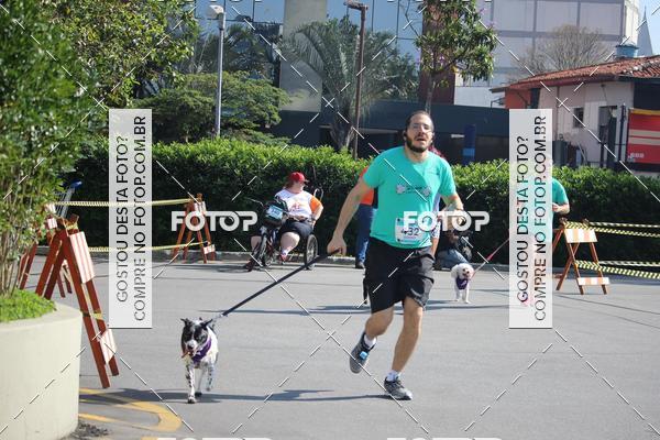 Buy your photos of the event2 Pet Run Shopping Eldorado  on Fotop