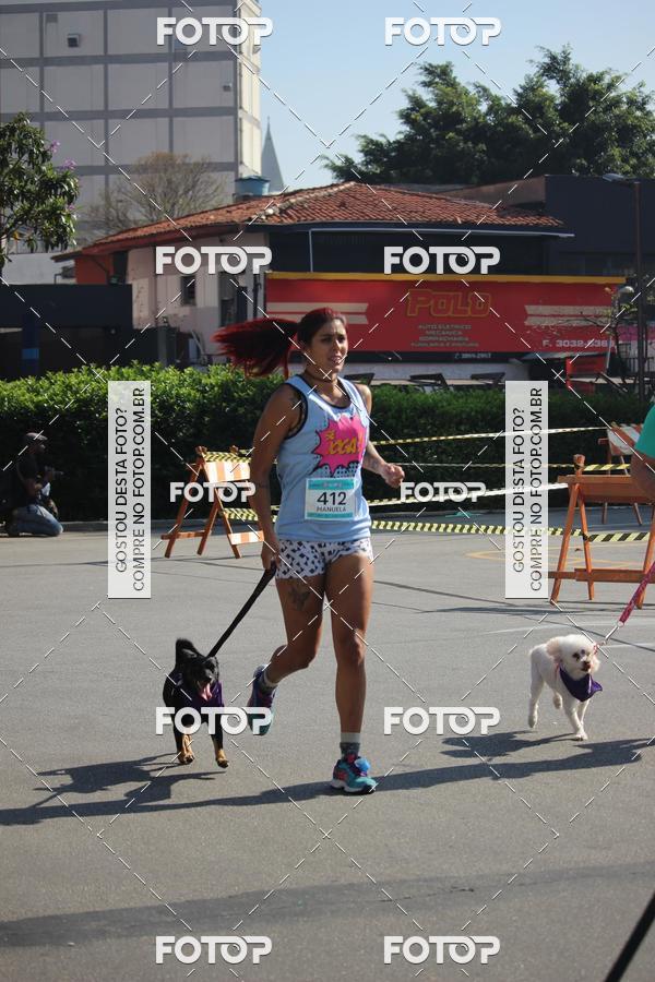 Buy your photos of the event2 Pet Run Shopping Eldorado  on Fotop