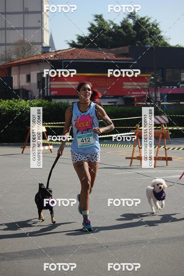 Buy your photos of the event2 Pet Run Shopping Eldorado  on Fotop