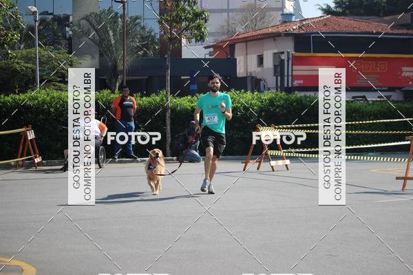Buy your photos of the event2 Pet Run Shopping Eldorado  on Fotop