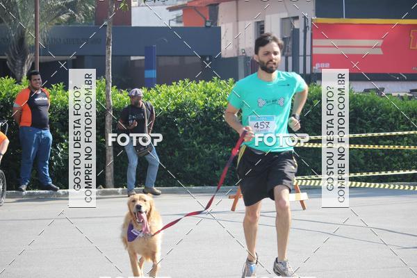 Buy your photos of the event2 Pet Run Shopping Eldorado  on Fotop