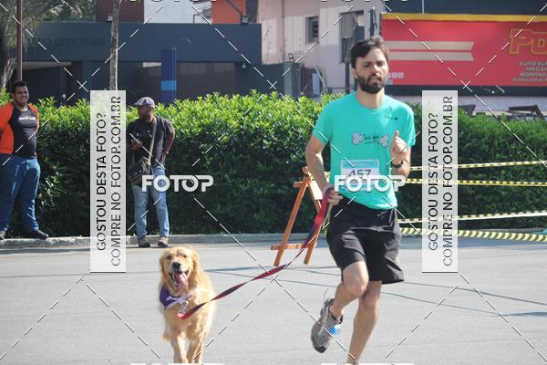 Buy your photos of the event2 Pet Run Shopping Eldorado  on Fotop