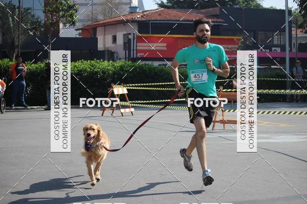 Buy your photos of the event2 Pet Run Shopping Eldorado  on Fotop