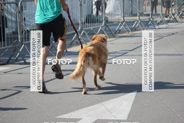 Buy your photos of the event2 Pet Run Shopping Eldorado  on Fotop