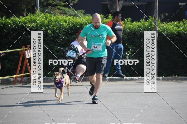 Buy your photos of the event2 Pet Run Shopping Eldorado  on Fotop