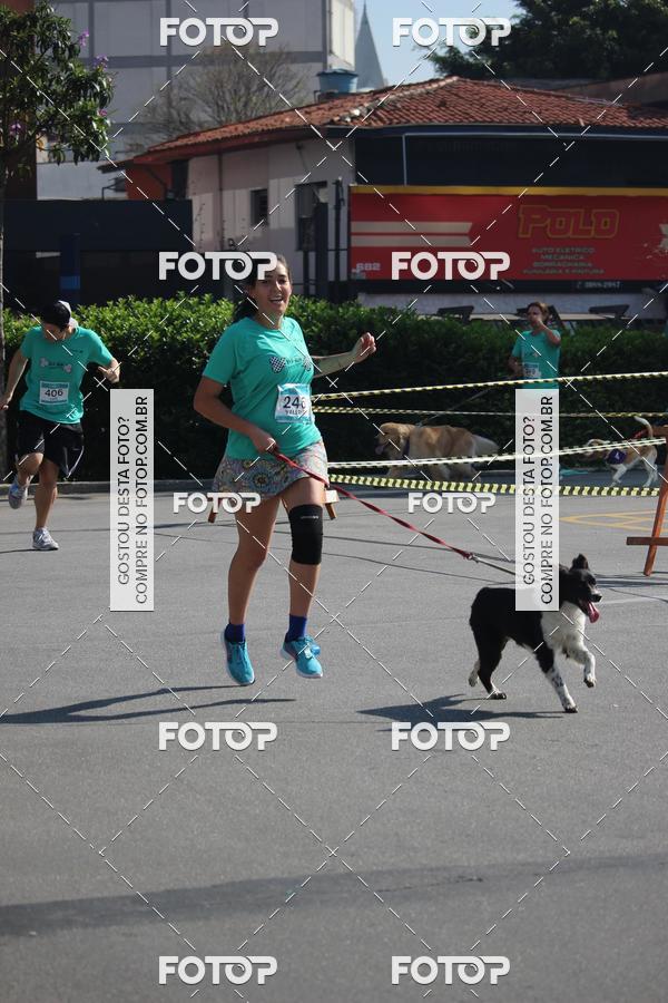 Buy your photos of the event2 Pet Run Shopping Eldorado  on Fotop