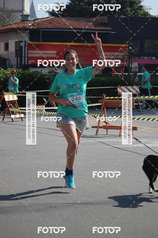 Buy your photos of the event2 Pet Run Shopping Eldorado  on Fotop