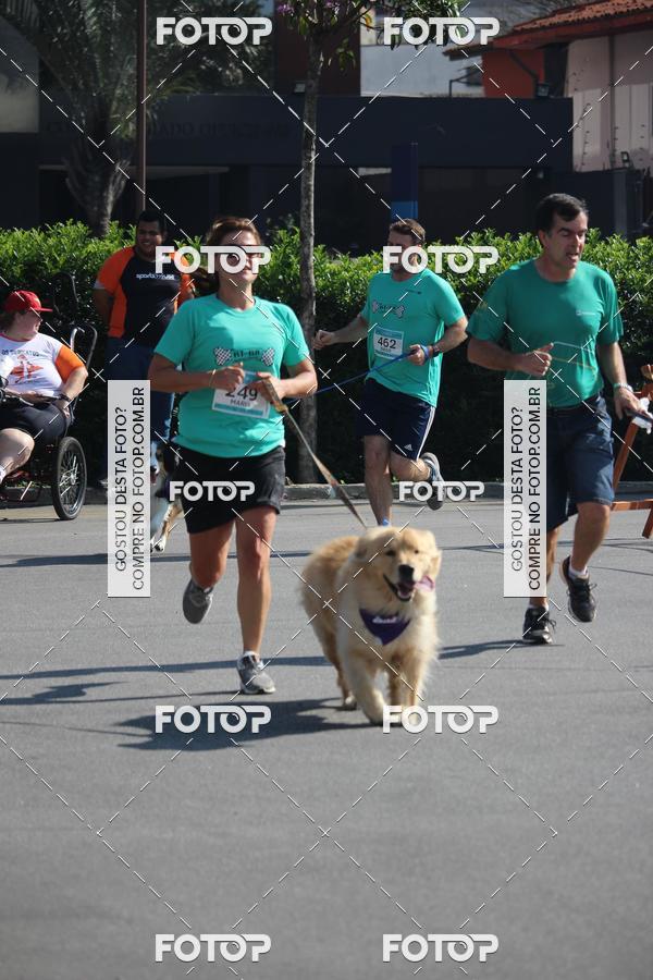 Buy your photos of the event2 Pet Run Shopping Eldorado  on Fotop
