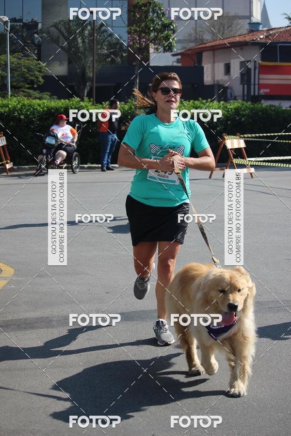 Buy your photos of the event2 Pet Run Shopping Eldorado  on Fotop