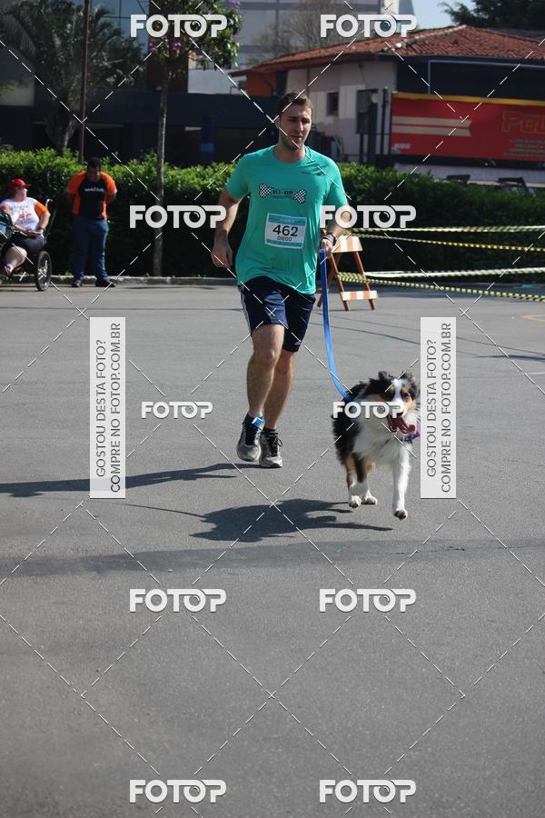 Buy your photos of the event2 Pet Run Shopping Eldorado  on Fotop