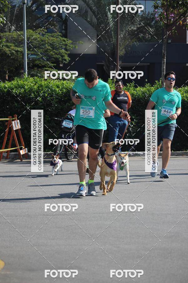 Buy your photos of the event2 Pet Run Shopping Eldorado  on Fotop