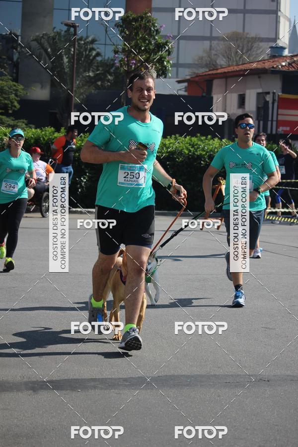 Buy your photos of the event2 Pet Run Shopping Eldorado  on Fotop