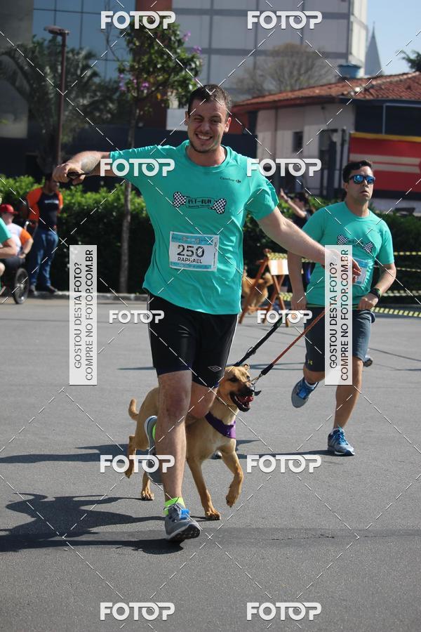 Buy your photos of the event2 Pet Run Shopping Eldorado  on Fotop