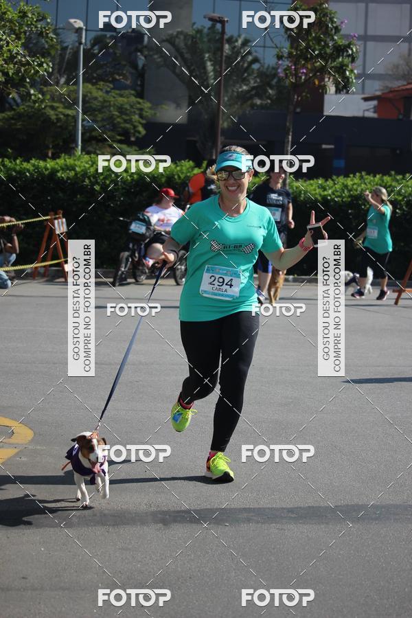 Buy your photos of the event2 Pet Run Shopping Eldorado  on Fotop