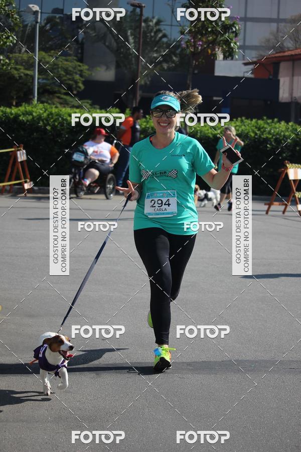 Buy your photos of the event2 Pet Run Shopping Eldorado  on Fotop