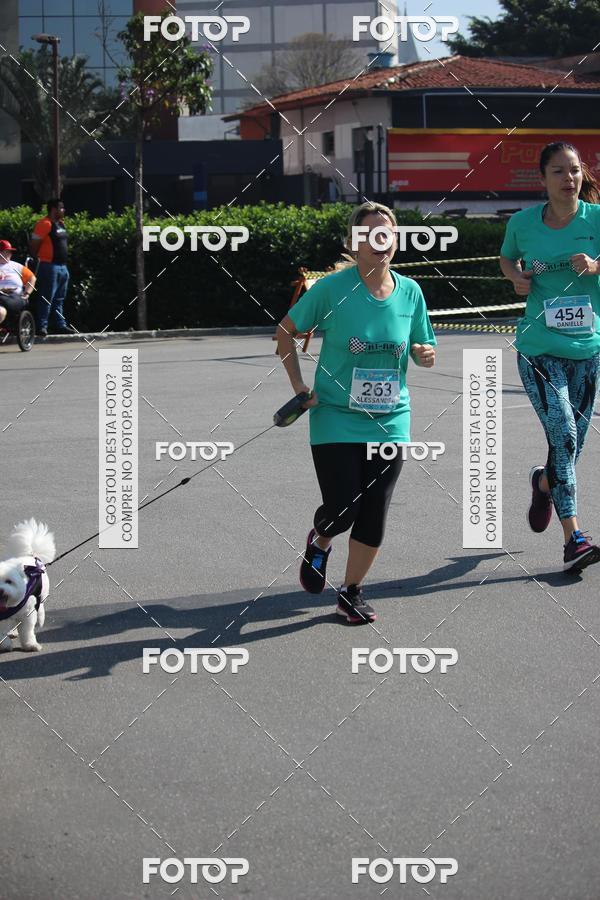 Buy your photos of the event2 Pet Run Shopping Eldorado  on Fotop
