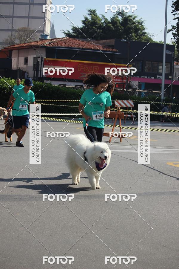 Buy your photos of the event2 Pet Run Shopping Eldorado  on Fotop