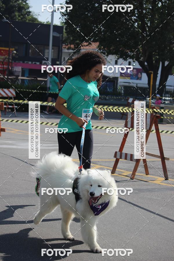 Buy your photos of the event2 Pet Run Shopping Eldorado  on Fotop