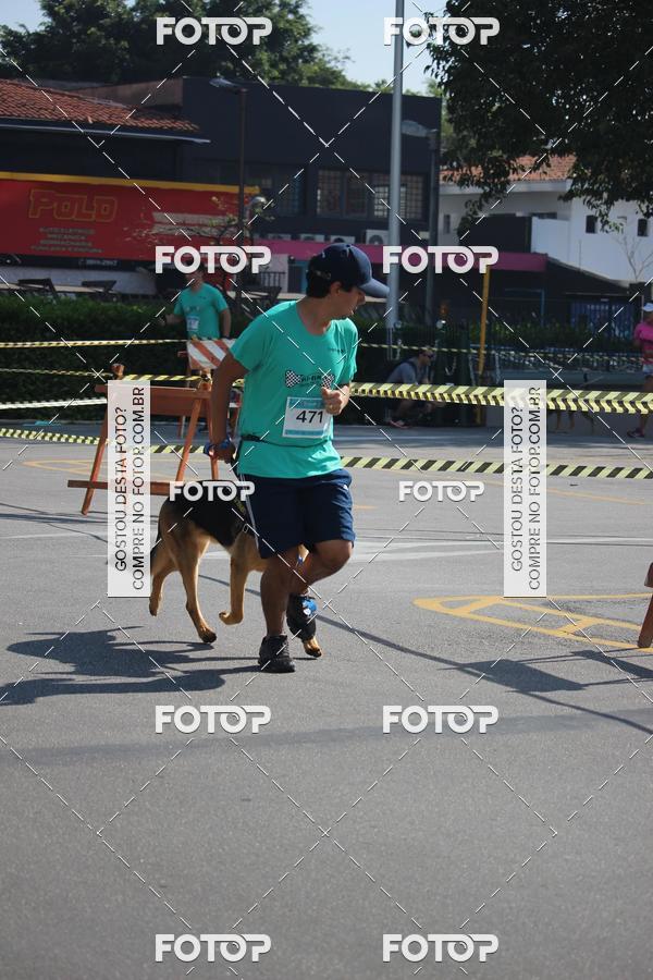 Buy your photos of the event2 Pet Run Shopping Eldorado  on Fotop
