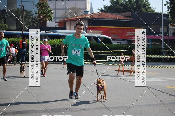 Buy your photos of the event2 Pet Run Shopping Eldorado  on Fotop