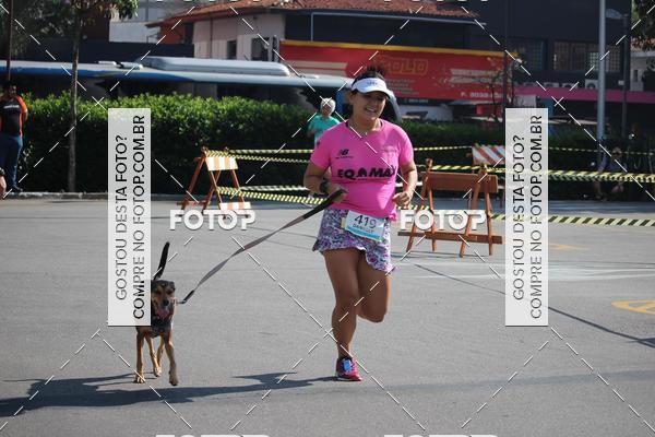 Buy your photos of the event2 Pet Run Shopping Eldorado  on Fotop