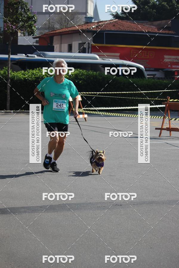 Buy your photos of the event2 Pet Run Shopping Eldorado  on Fotop
