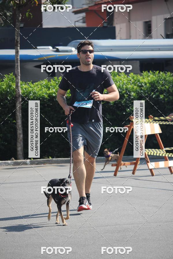 Buy your photos of the event2 Pet Run Shopping Eldorado  on Fotop